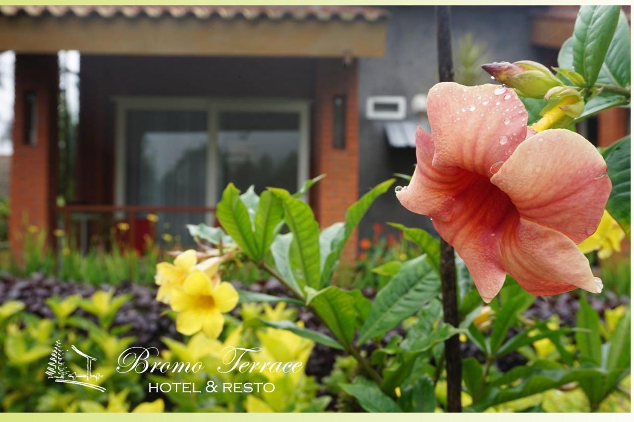Bromo Terrace Hotel Exterior photo
