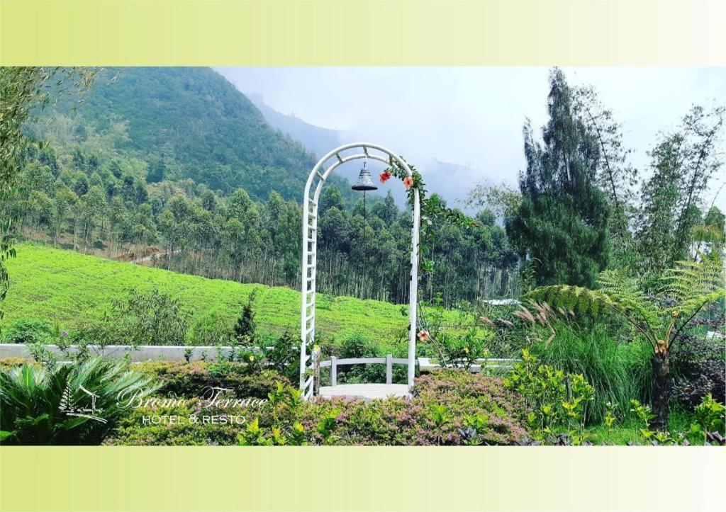 Bromo Terrace Hotel Exterior photo