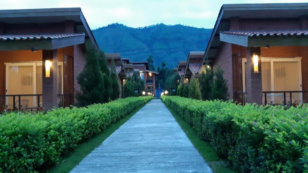 Bromo Terrace Hotel Exterior photo
